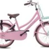 Valetta Cargo - Transportfiets - Meisjesfiets - 20 Inch - Mint Roze