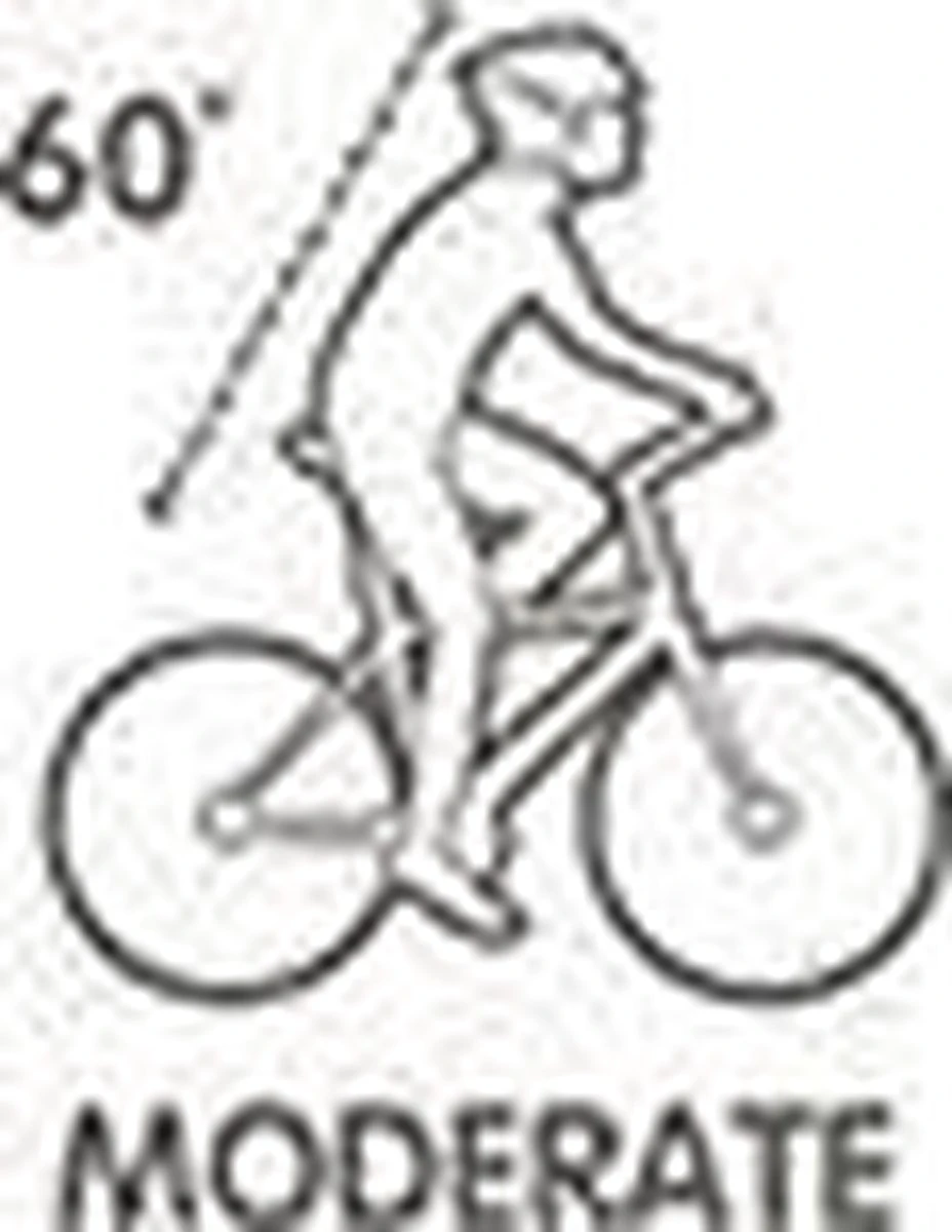 Selle Royal Avenue Moderate 8466 - Fietszadel - Gel - Zwart - Afbeelding 17